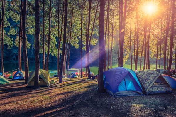 Les Meilleurs Emplacements pour Camping-Car au Grau du Roi : Guide Pratique pour Campeurs Nomades