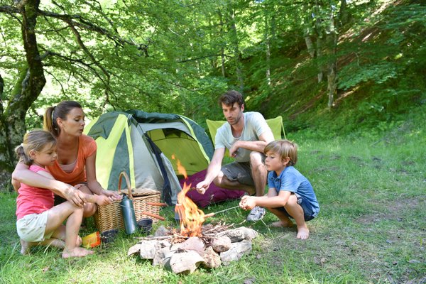 Quelles sont les informations utiles à connaître sur les emplacements du camping Les Logeries aux Sables d'Olonne ?