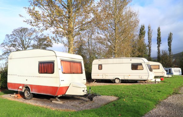 Y a-t-il des campings acceptant les animaux de compagnie au Château d'Oléron ?