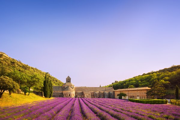 Suggestion de lieux incontournables de la Vendée à visiter depuis votre camping 4 étoiles