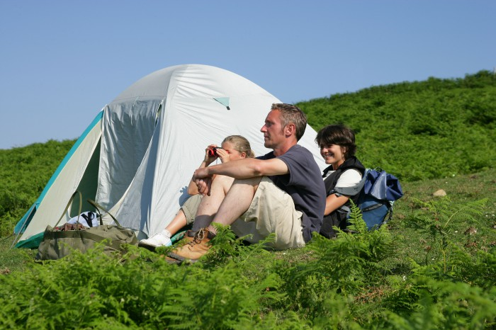 Camper en bonne compagnie