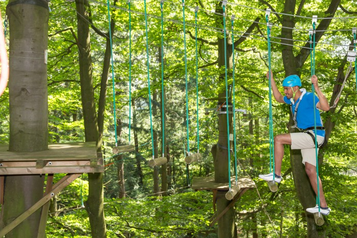 Activités au camping